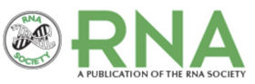 RNA