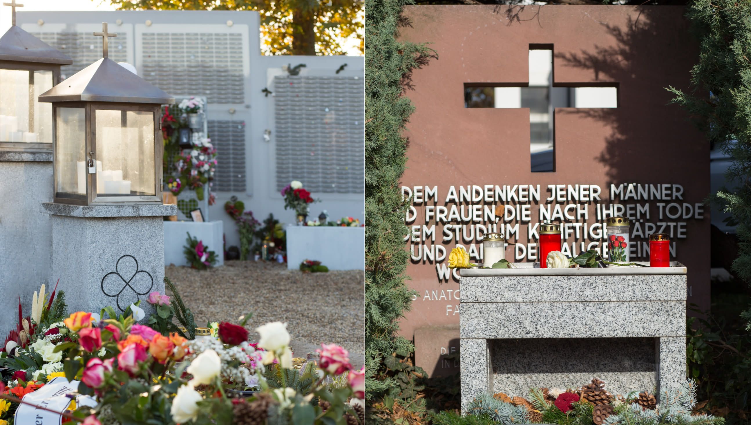 Neue und alte Gedenkstätte für Körperspender der Abteilung für Anatomie auf dem Wiener Zentralfriedhof